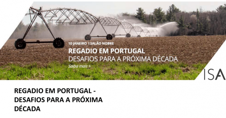 Vamos falar sobre amêndoas!”: Intercâmbio no amendoal – uma ligação entre  Portugal e Espanha - Agroportal